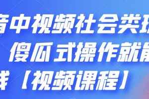 抖音中视频社会类玩法，傻瓜式操作就能赚钱【视频课程】