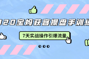 2020宝妈获客操盘手训练营：7天实战操作引爆 母婴、都市、购物宝妈流量