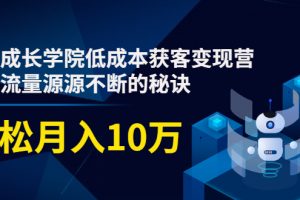 素宣成长学院低成本获客变现营，教你流量源源不断的秘诀，轻松月入10万