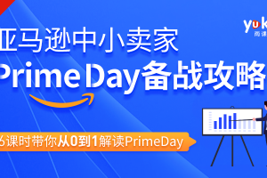 亚马逊中小卖家Prime day备战攻略，6课时带你从0到1解读Prime day