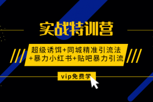 实战特训营:超级诱饵+同城精准引流法+暴力小红书+贴吧暴力引流（视频课程）