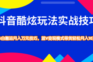 抖音酷炫玩法实战技巧，小白搬运月入万元技巧，蓝V变现模式带货轻松月入10万