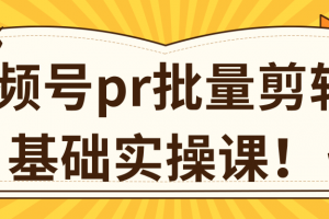 视频号PR批量剪辑0基础实操课，PR批量处理伪原创一分钟一个视频【共2节】