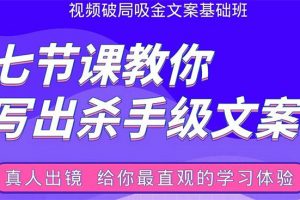 张根视频破局吸金文案班：节节课教你写出杀手级文案(附67页文案训练手册)