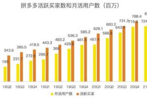 蓝海项目拼多多视频带货课，2022年入百万新风口【视频教程+软件】