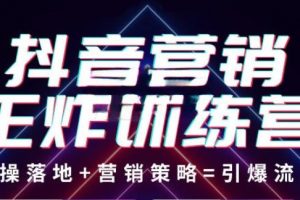 抖音营销王炸训练营，实操落地+营销策略=引爆流量（价值8960元）