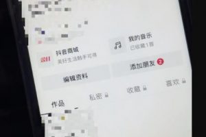 日收益1000+的交友盲盒副业丨有手就行的抖音快手暴力引流