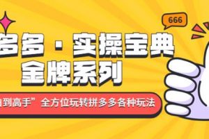 拼多多·实操宝典：金牌系列“小白到高手”带你全方位玩转拼多多各种玩法