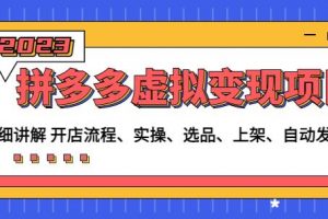 程哥拼多多虚拟变现项目：讲解开店流程-实操-选品-上架-自动发货等