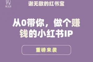 谢无敌·小红书运营大宝典，从0带你做个赚钱的小红书IP