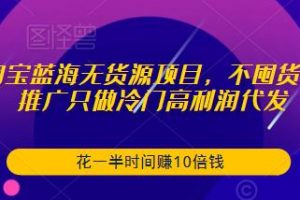 淘宝蓝海无货源项目，不囤货不推广只做冷门高利润代发，花一半时间赚10倍钱