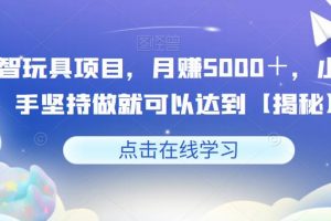 益智玩具项目，月赚5000＋，小白新手坚持做就可以达到【揭秘】