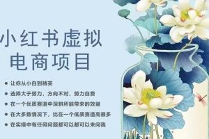 小红书虚拟电商从0到1，让你从小白到精英（20节实操课程）