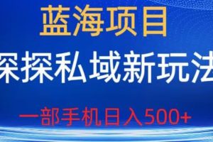 蓝海项目，探探私域新玩法，一部手机日入500+很轻松【揭秘】