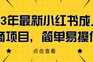 2023年最新小红书成人电商项目，简单易操作【详细教程】【揭秘】