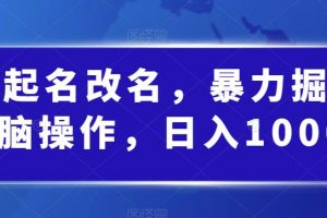 婴儿起名改名，暴力掘金，无脑操作，日入1000+【揭秘】