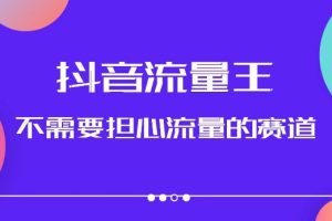 抖音流量王，不需要担心流量的赛道，美女图文音乐号升级玩法（附实操+养号流程）