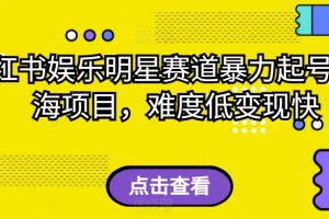 小红书娱乐明星赛道暴力起号，蓝海项目，难度低变现快【揭秘】