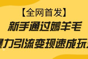 【全网首发】新手通过薅羊毛暴力引流变现速成玩法