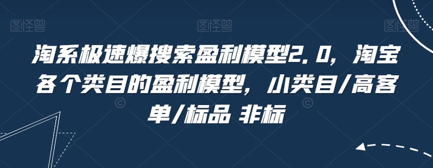 淘系极速爆搜索盈利模型2.0，淘宝各个类目的盈利模型，小类目/高客单/标品 非标