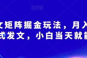 AI爆文矩阵掘金玩法，月入3W，傻瓜式发文，小白当天就能上手【揭秘】