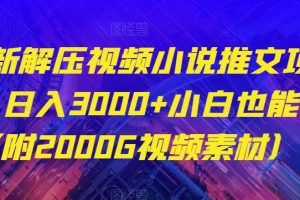 最新解压视频小说推文项目，日入3000+小白也能做（附2000G视频素材）【揭秘】