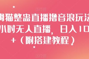 汤姆猫整蛊直播撸音浪玩法！24小时无人直播，日入1000+（附搭建教程）【揭秘】