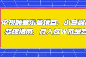 中视频音乐号项目：小白副业变现指南，月入过W不是梦【揭秘】