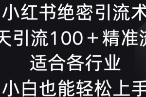 小红书绝密引流术，一天引流100+精准流量，适合各个行业，小白也能轻松上手【揭秘】