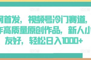 全网首发，视频号冷门赛道，AI制作高质量原创作品，新人小白友好，轻松日入1000+【揭秘】