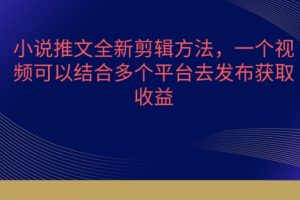 小说推文全新剪辑方法，一个视频可以结合多个平台去发布获取【揭秘】