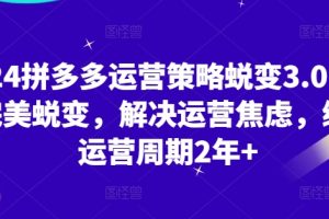 2024拼多多运营策略蜕变3.0，0-1完美蜕变，解决运营焦虑，缩短运营周期2年+