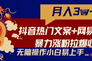 抖音热门文案+网易云截图暴力涨粉拉爆收益玩法，小白无脑操作，简单易上手【揭秘】