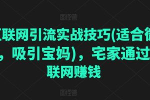 互联网引流实战技巧(适合微商，吸引宝妈)，宅家通过互联网赚钱