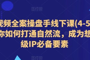 短视频全案操盘手线下课(4-5月)教你如何打通自然流，成为想象级IP必备要素