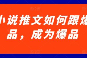 小说推文如何跟爆品，成为爆品【揭秘】