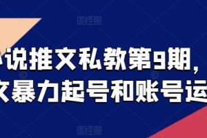 小说推文私教第9期，推文暴力起号和账号运营