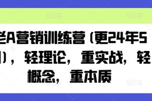 老A营销训练营(更24年5月)，轻理论，重实战，轻概念，重本质