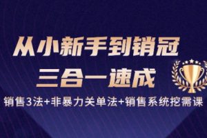 从小新手到销冠 三合一速成：销售3法+非暴力关单法+销售系统挖需课 (27节)