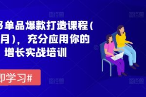 拼多多单品爆款打造课程(更新6月)，充分应用你的流量，增长实战培训