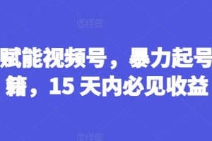 AI赋能视频号，暴力起号秘籍，15 天内必见收益【揭秘】