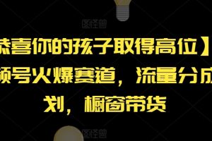 【恭喜你的孩子取得高位】AI视频号火爆赛道，流量分成计划，橱窗带货【揭秘】