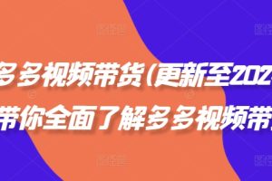 拼多多视频带货(更新至2024)，带你全面了解多多视频带货