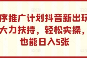 小程序推广计划抖音新出玩法，官方大力扶持，轻松实操，小白也能日入5张【揭秘】