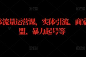 实体流量运营课，实体引流、商家加盟、暴力起号等