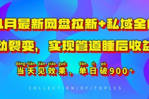 11月最新网盘拉新+私域全自动裂变，实现管道睡后收益，当天见效果，单日破900+