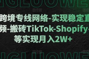 利用跨境专线网络-实现稳定直播-刷视频-搬砖TikTok-Shopify-FB等实现月入2W+【揭秘】