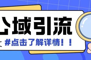 全公域平台，引流创业粉自热模版玩法，号称日引500+创业粉可矩阵操作