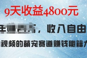 萌宠赛道赚钱秘籍：AI宠物兔视频详细拆解，9天收益4.8k