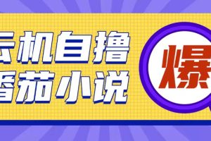 首发云手机自撸小说玩法，10块钱成本可撸200+收益操作简单【揭秘】